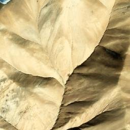 Satellite imagery of Khāk-e ‘Āshōr, AF