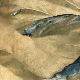 Satellite imagery of Kōh-e Howārak, AF