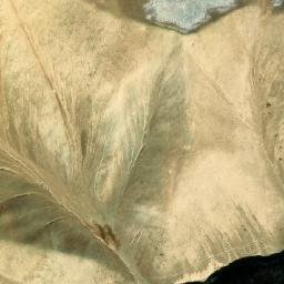 Satellite imagery of Kōh-e Howārak, AF