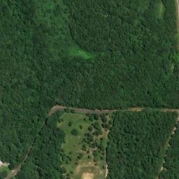 Satellite imagery of Dogwood Point, US