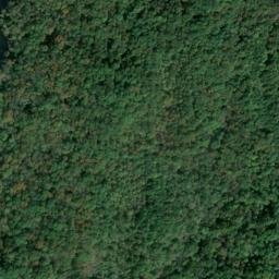 Satellite imagery of Yellow Bluff, US