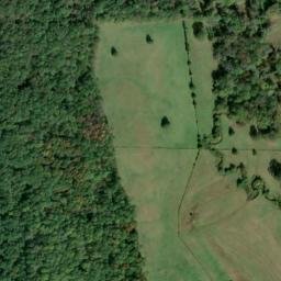 Satellite imagery of Yellow Bluff, US
