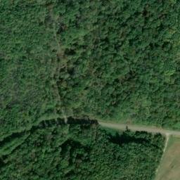 Satellite imagery of Yellow Bluff, US