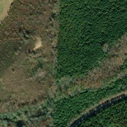 Satellite imagery of Chinquapin Ridge, US