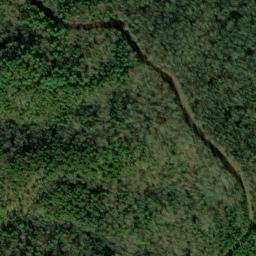 Satellite imagery of Wolf Ridge, US