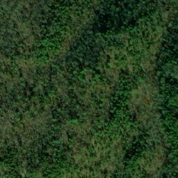 Satellite imagery of Wolf Ridge, US