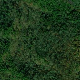 Satellite imagery of Wolf Ridge, US