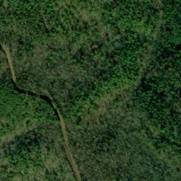 Satellite imagery of Wolf Ridge, US