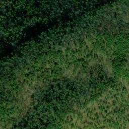 Satellite imagery of Wilson Ridge, US