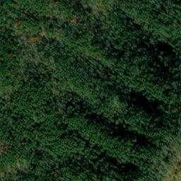 Satellite imagery of Dugger Mountain, US