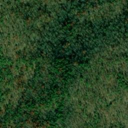 Satellite imagery of Choccolocco Mountain, US