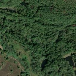 Satellite imagery of Allen Ridge, US