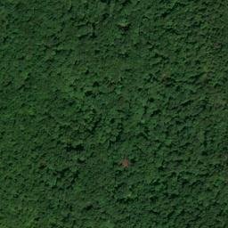 Satellite imagery of Pine Mountain, US