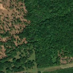 Satellite imagery of Villa Rica Mine, US