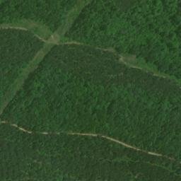 Satellite imagery of Buzzard Roost, US