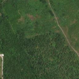 Satellite imagery of Pea Ridge, US