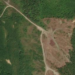 Satellite imagery of Dixie Springs Mine, US