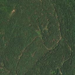 Satellite imagery of Pea Ridge, US