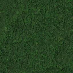 Satellite imagery of Flint Ridge, US