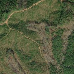 Satellite imagery of Arbacoochee Lode and Placer Mine, US