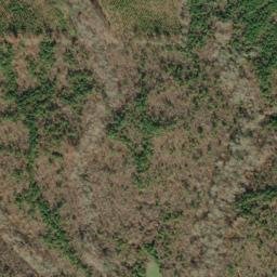 Satellite imagery of Arbacoochee Lode and Placer Mine, US