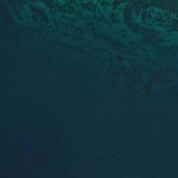 Satellite imagery of Pelican Point, US