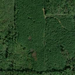 Satellite imagery of Pea Vine Ridge, US