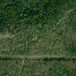 Satellite imagery of Higdon Point, US