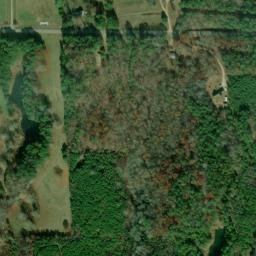 Satellite imagery of Silver Leaf Prospect, US