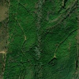 Satellite imagery of Silver Leaf Prospect, US