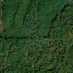 Satellite imagery of Silver Leaf Prospect, US