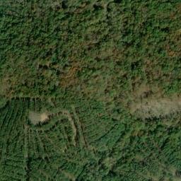 Satellite imagery of Silver Leaf Prospect, US