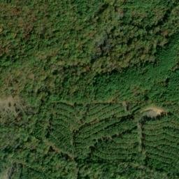 Satellite imagery of Silver Leaf Prospect, US