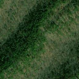 Satellite imagery of Laurel Point, US