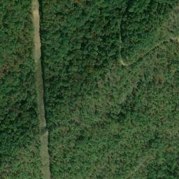 Satellite imagery of Laurel Point, US