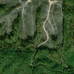 Satellite imagery of Gold Log Mine, US