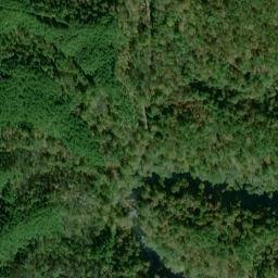 Satellite imagery of Gold Log Mine, US