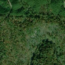 Satellite imagery of Gold Log Mine, US