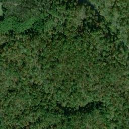 Satellite imagery of Gold Log Mine, US