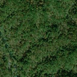 Satellite imagery of Gold Log Mine, US