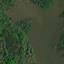 Satellite imagery of Moores Bluff, US