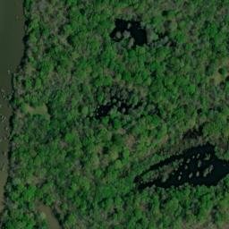 Satellite imagery of Moores Bluff, US