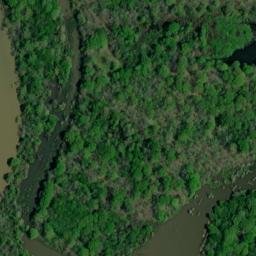 Satellite imagery of Moores Bluff, US