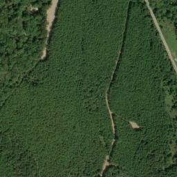 Satellite imagery of Pettys Bluff, US
