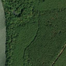 Satellite imagery of Pettys Bluff, US