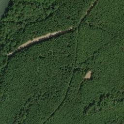 Satellite imagery of Pettys Bluff, US
