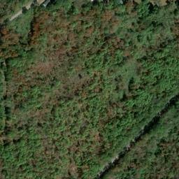 Satellite imagery of Bee Ridge, US