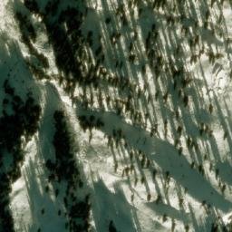 Satellite imagery of Dantal, IN