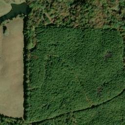 Satellite imagery of Manning Placer Mine, US