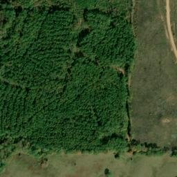 Satellite imagery of Amason Prospect, US